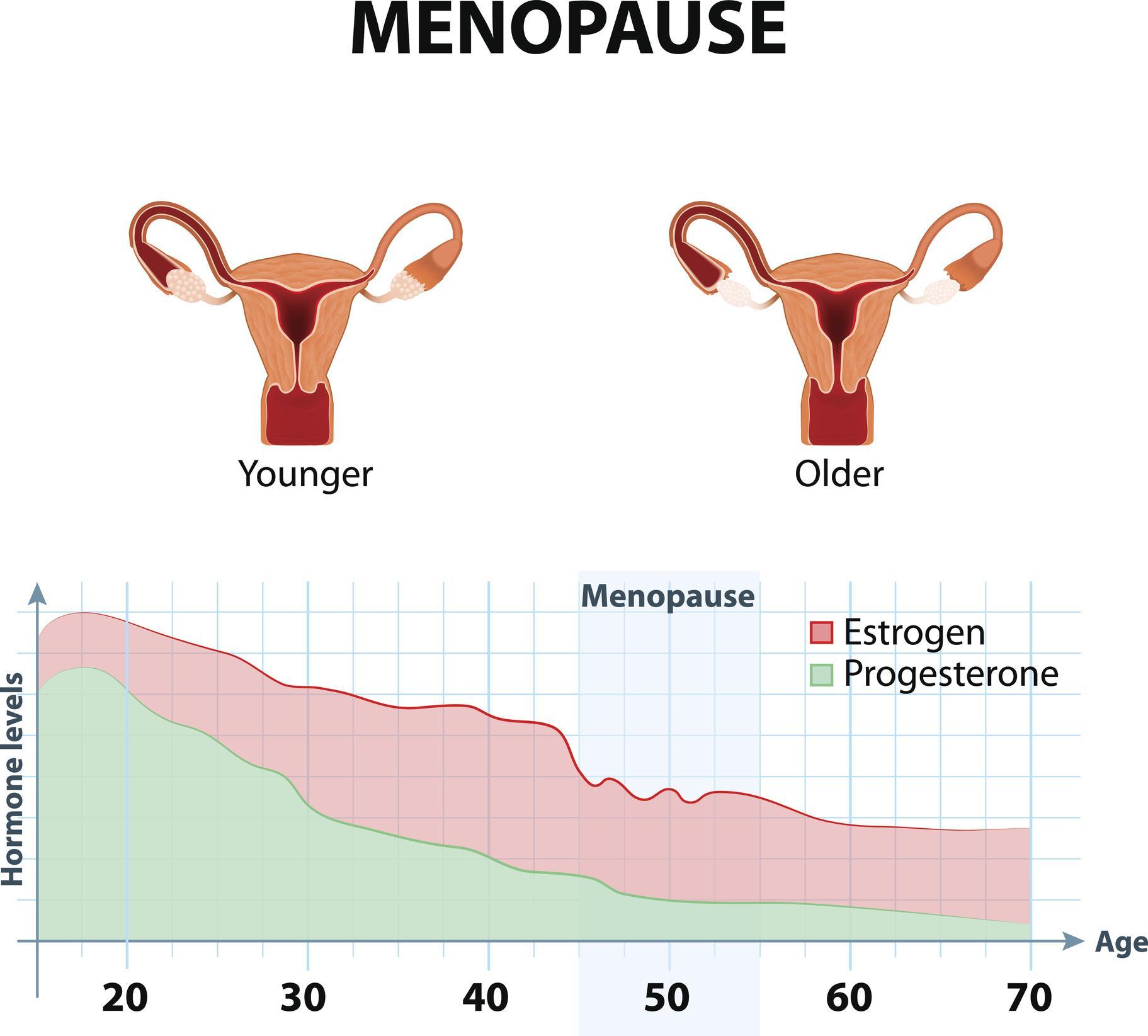 Vagina Inchada O Que Pode Ser Causas Poss Veis