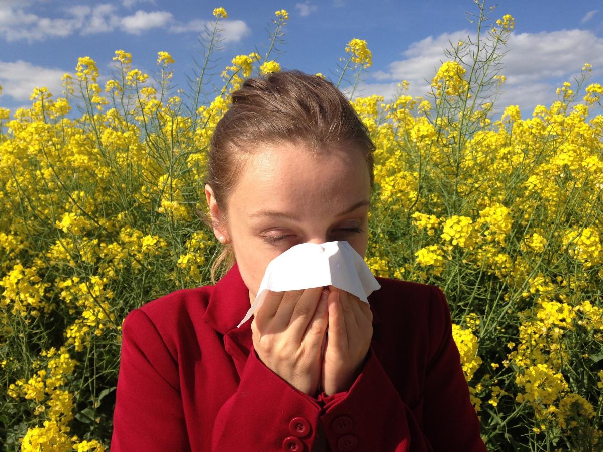 Alergia ao pólen: sintomas e tratamento