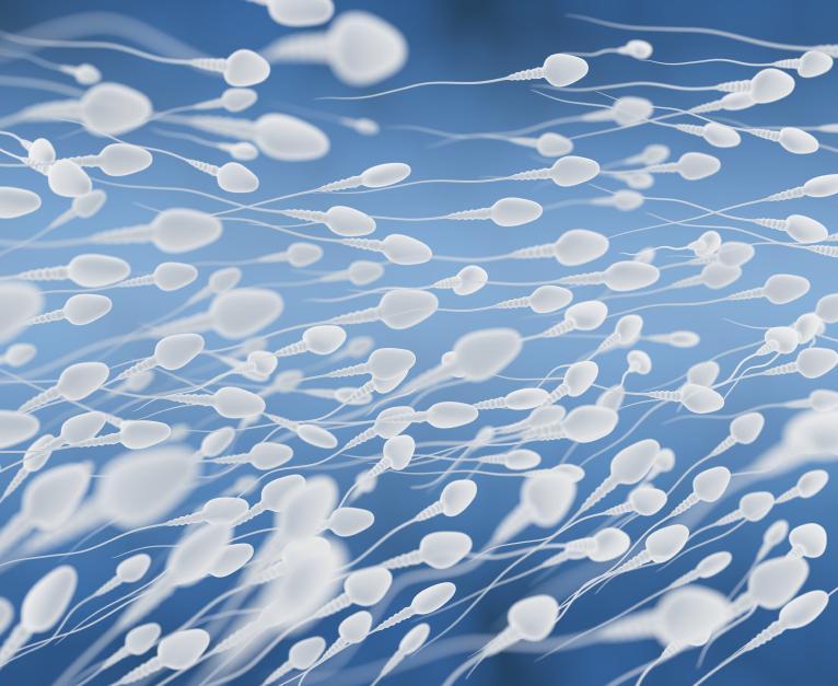 Sêmen transparente é normal? - Possíveis causas