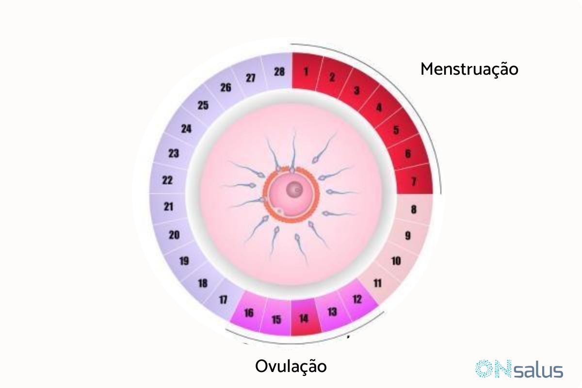 Sangramento na ovulação é normal? 10 CAUSAS relacionadas