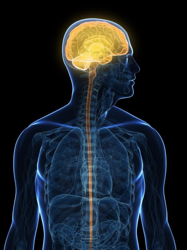 Sintomas de derrame cerebral ou AVC - Derrame cerebral: causas