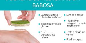 Usos medicinais da babosa