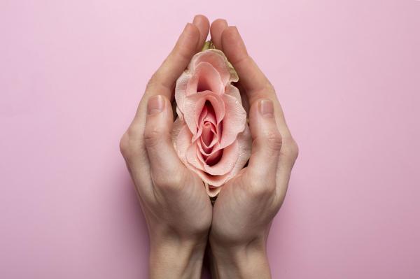 Probióticos vaginais: para que servem, como usá-los e quais são os melhores