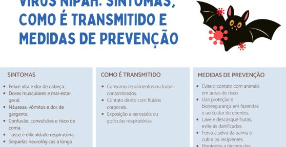Vírus Nipah: sintomas e como se transmite